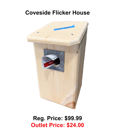 COV-10070.jpg