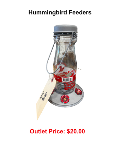 Hummingbird-feeders.jpg