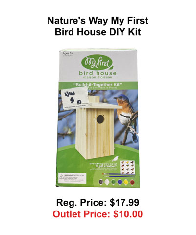 NWB-DIY-BIRD.jpg