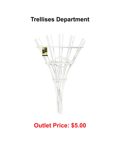 Trellises-dept.jpg